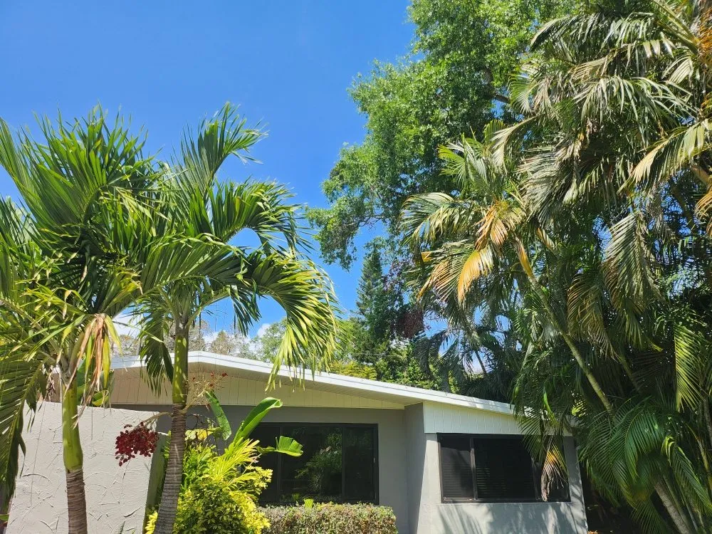 Reliable yard maintenance experts serving St. Petersburg, FL - Patrick Allen's Tree Services