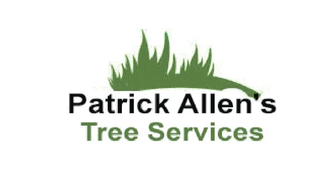 Affordable lawn care service experts serving St. Petersburg, FL - Patrick Allen's Tree Services
