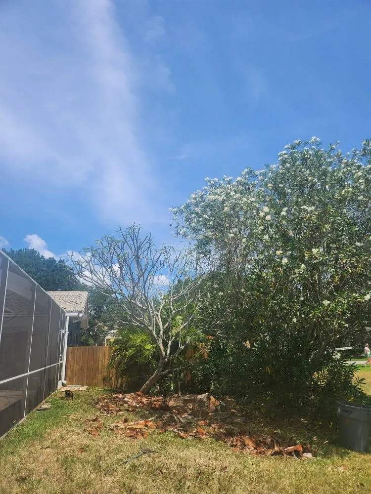 Trusted landscape design in St. Petersburg, FL by Patrick Allen's Tree Services