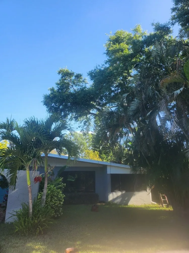 Custom landscape design in St. Petersburg, FL - Patrick Allen's Tree Services