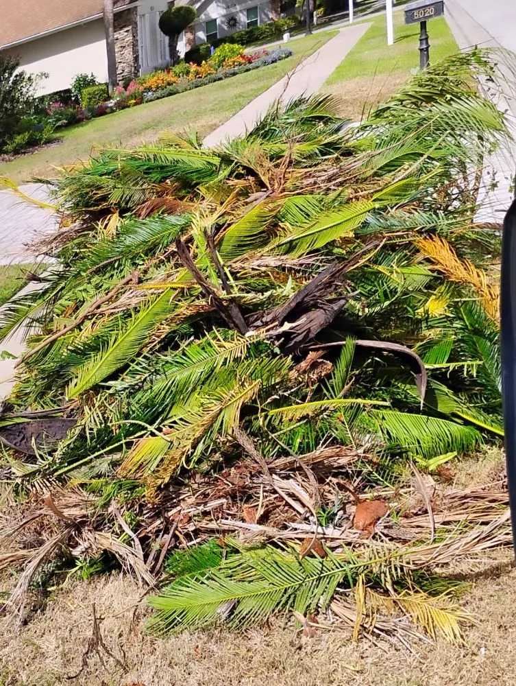 Local garden landscaping near you in Mount Dora, FL by Patrick And Son Lawn Care