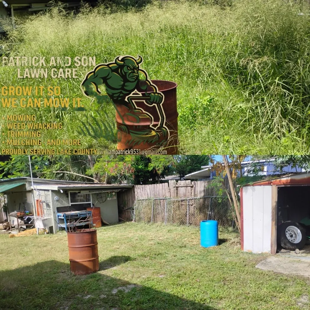 Custom residential landscaping for beautiful yards across Mount Dora, FL - Patrick And Son Lawn Care