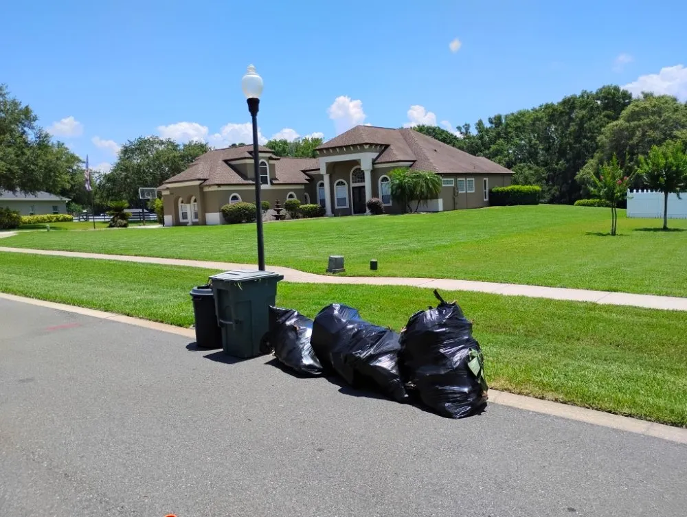 Professional landscape design in Mount Dora, FL by Patrick And Son Lawn Care