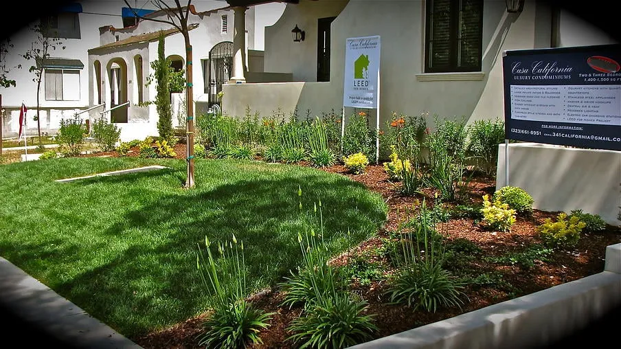 Affordable lawn care service near you in Glendale, CA by Patrick Landscaping, Inc.
