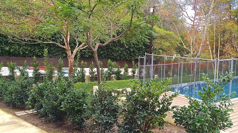 Trusted residential landscaping for beautiful yards across Glendale, CA - Patrick Landscaping, Inc.