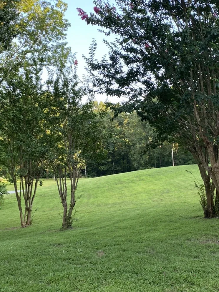 Top-rated yard maintenance with custom design across Pontotoc, MS - Patrick Lawn Service