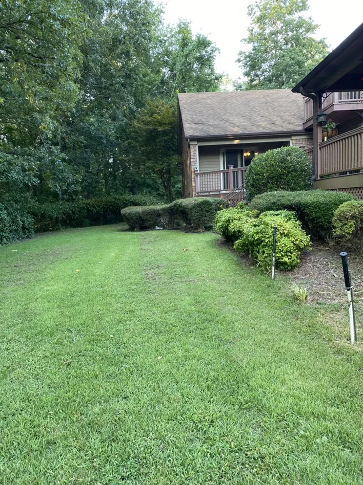 Professional yard maintenance for residential properties in Pontotoc, MS by Patrick Lawn Service