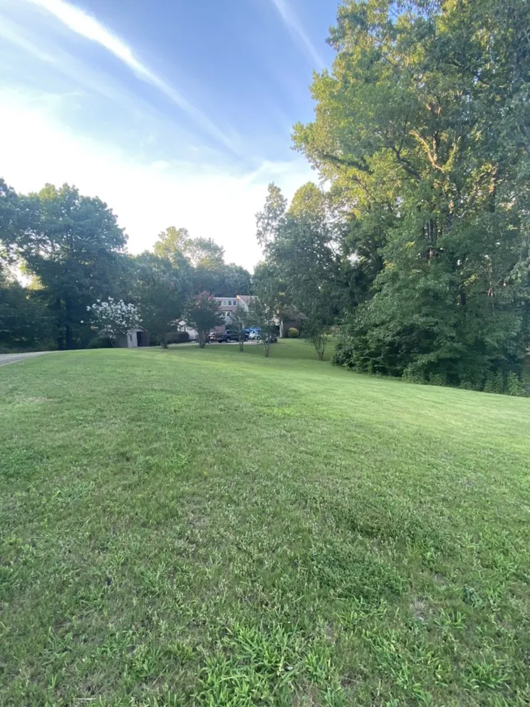 Affordable garden landscaping experts serving Pontotoc, MS - Patrick Lawn Service