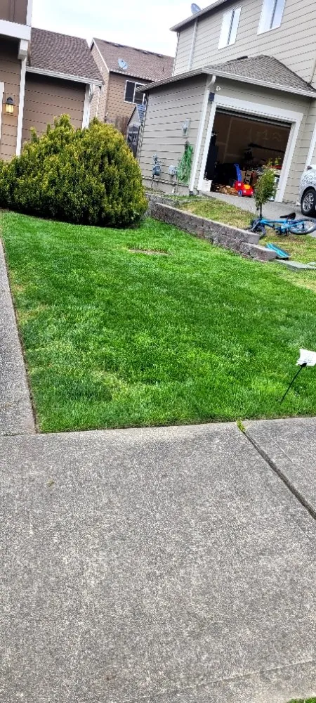 Expert yard maintenance experts serving Puyallup, WA - Patrick Lawncare