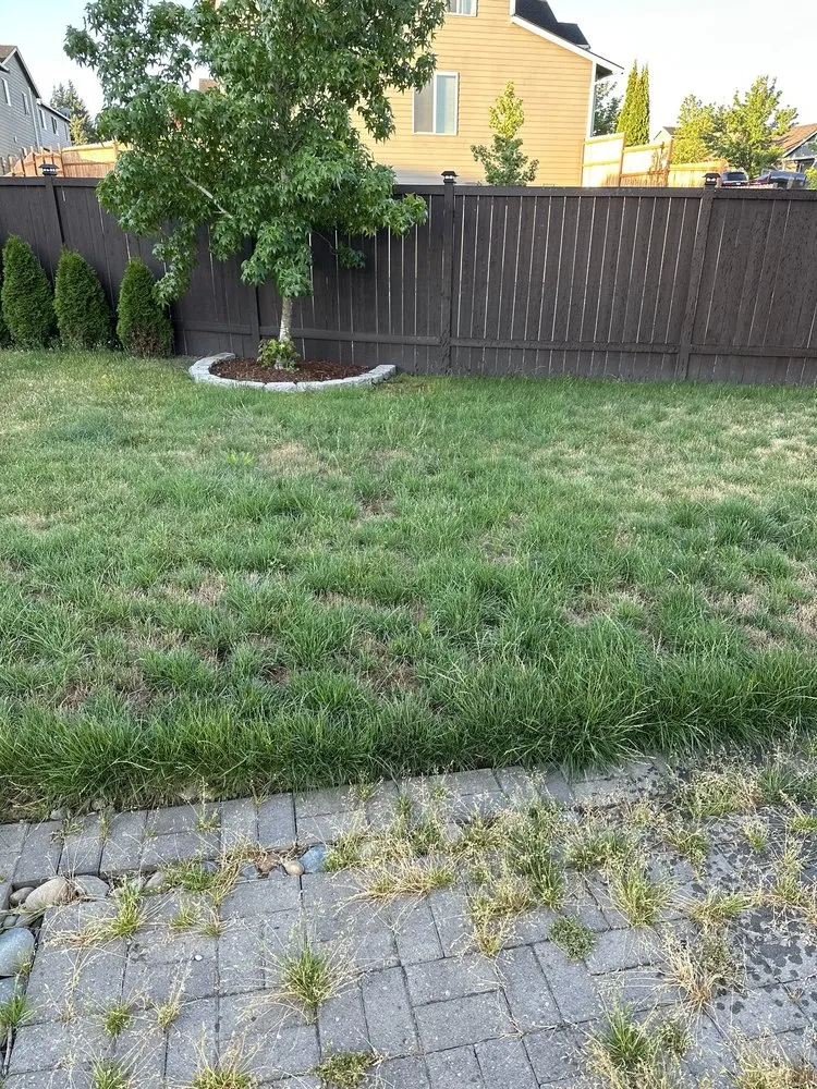 Affordable landscape design for outdoor upgrades across Puyallup, WA - Patrick Lawncare