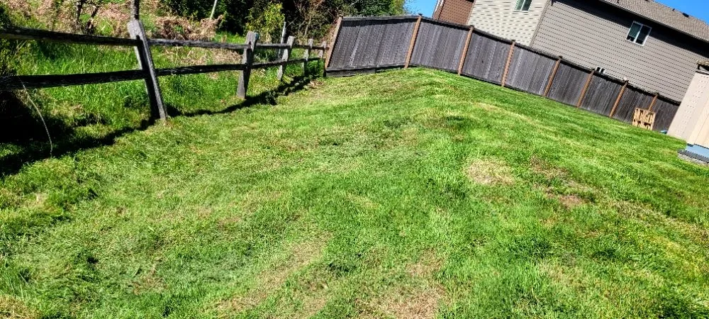 Professional yard maintenance in Puyallup, WA - Patrick Lawncare
