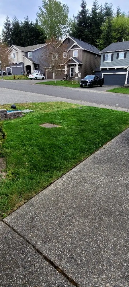 Affordable residential landscaping in Puyallup, WA - Patrick Lawncare