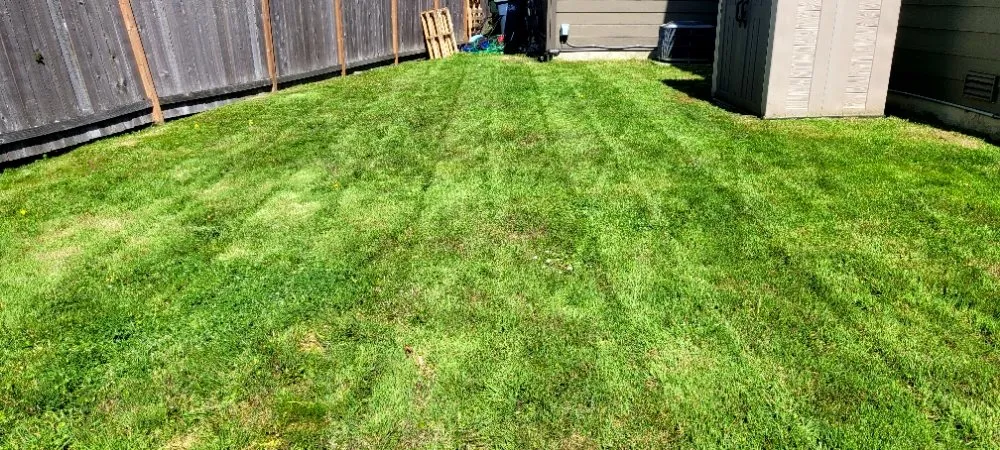 Trusted yard cleanup service with custom design across Puyallup, WA - Patrick Lawncare