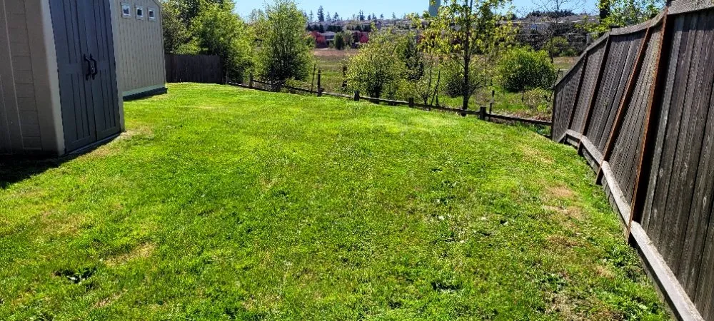 Local landscape design for homes across Puyallup, WA - Patrick Lawncare