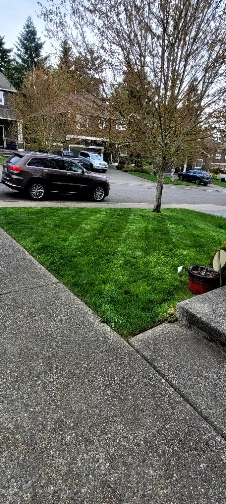 Professional lawn mowing service for year-round maintenance across Puyallup, WA - Patrick Lawncare