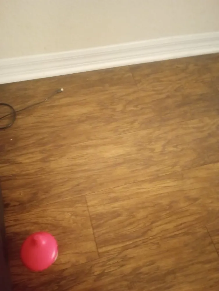 Expert garden landscaping in Port St. Lucie, FL - Patrick Services