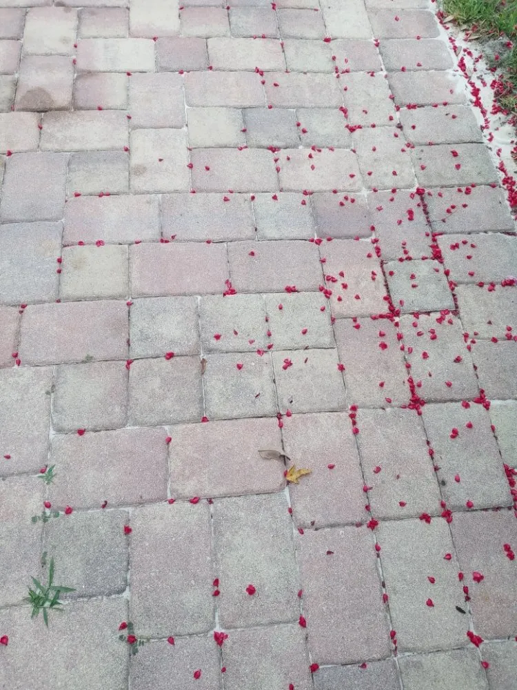 Local garden landscaping in Port St. Lucie, FL by Patrick Services