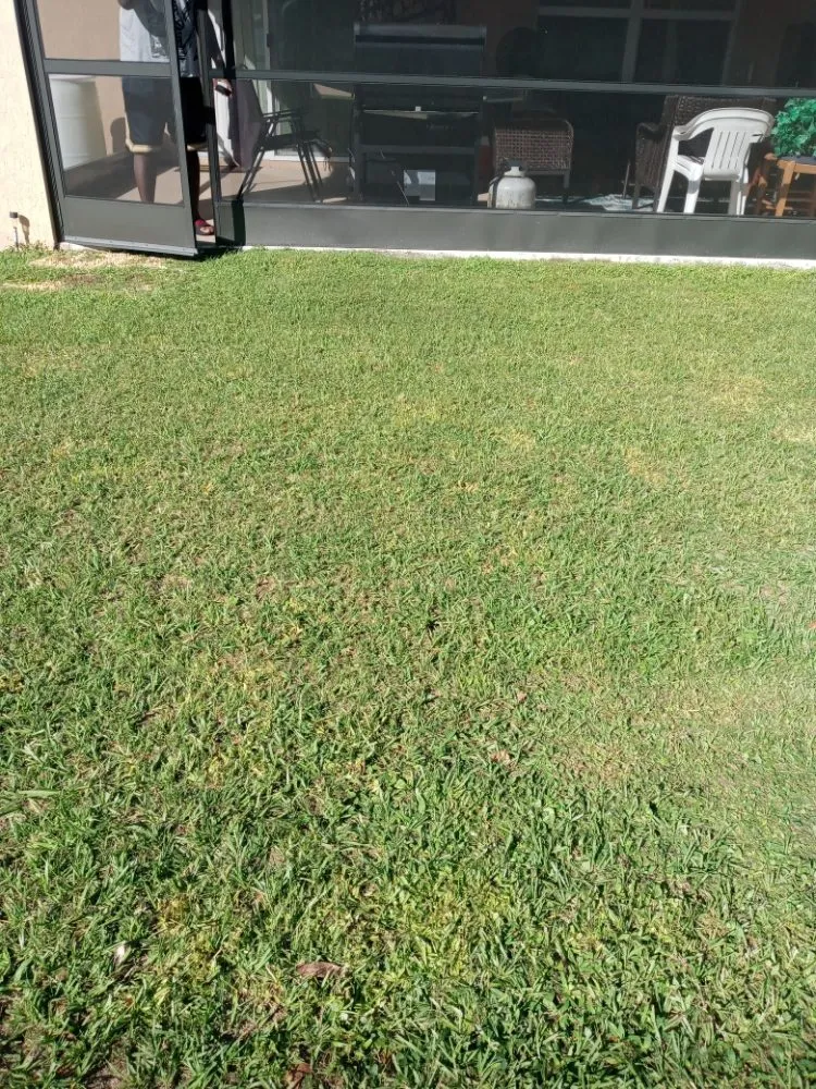 Professional landscape installation in Port St. Lucie, FL by Patrick Services