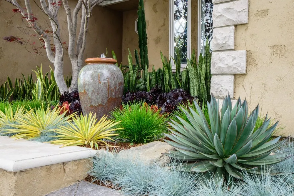 Reliable yard maintenance in Seal Beach, CA by Patrick Smith Landscaping