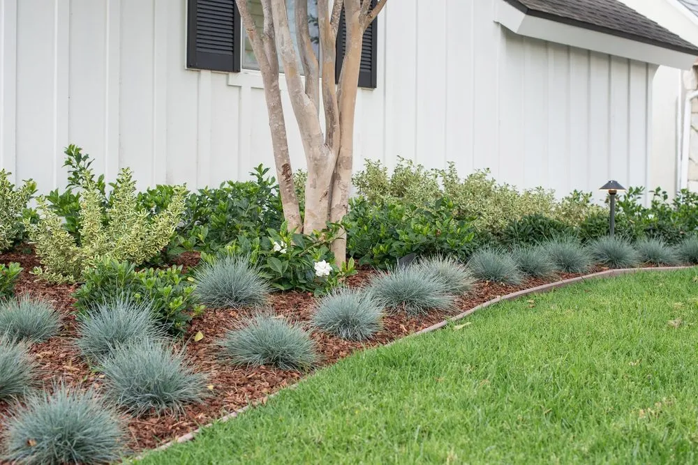Affordable garden landscaping in Seal Beach, CA by Patrick Smith Landscaping