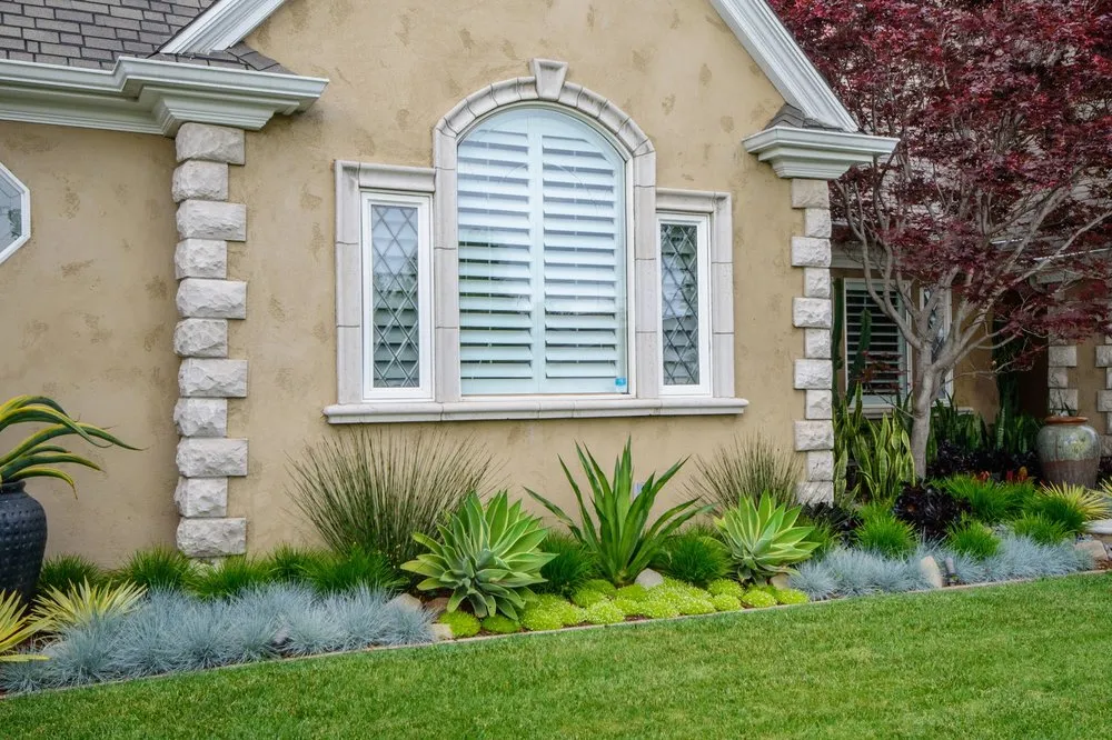 Trusted yard maintenance in Seal Beach, CA by Patrick Smith Landscaping