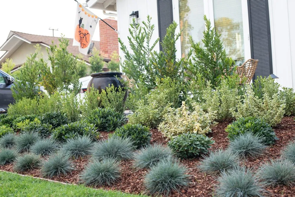 Reliable lawn mowing service in Seal Beach, CA - Patrick Smith Landscaping