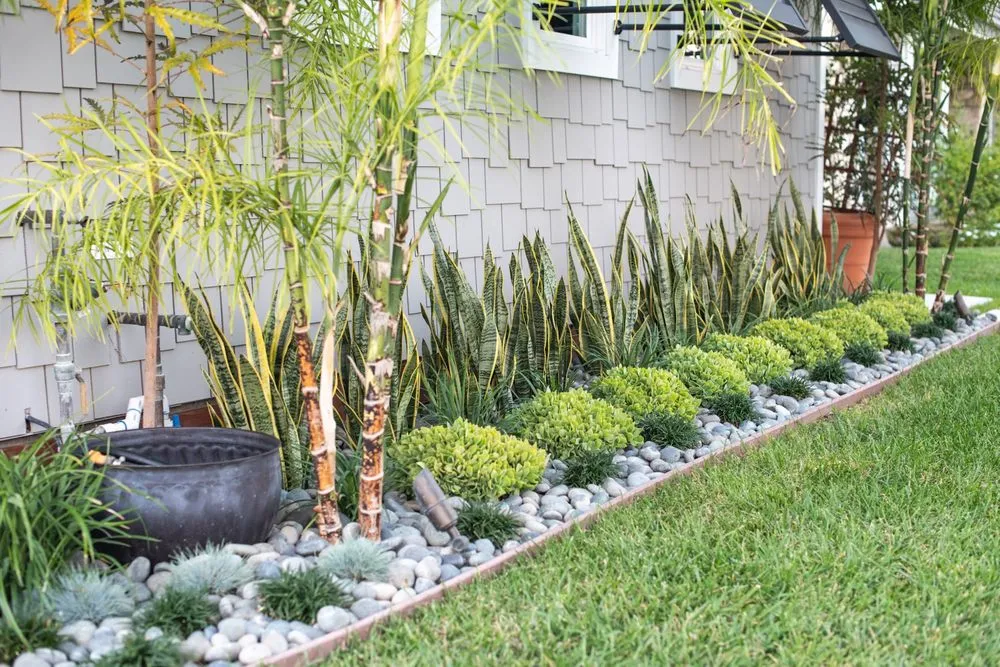 Professional residential landscaping experts serving Seal Beach, CA - Patrick Smith Landscaping
