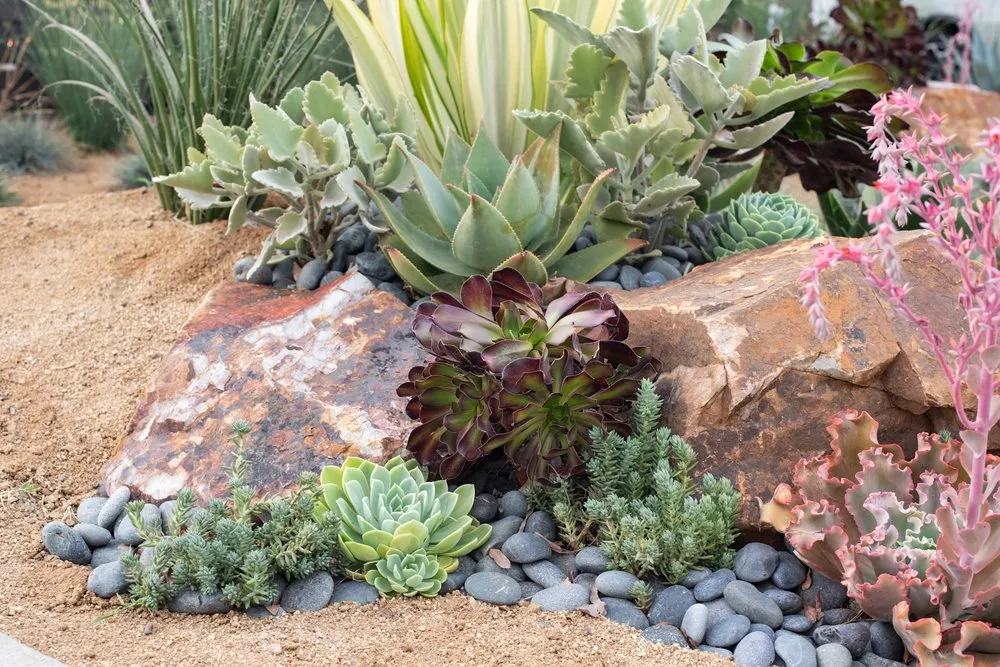 Top-rated yard cleanup service experts serving Seal Beach, CA - Patrick Smith Landscaping