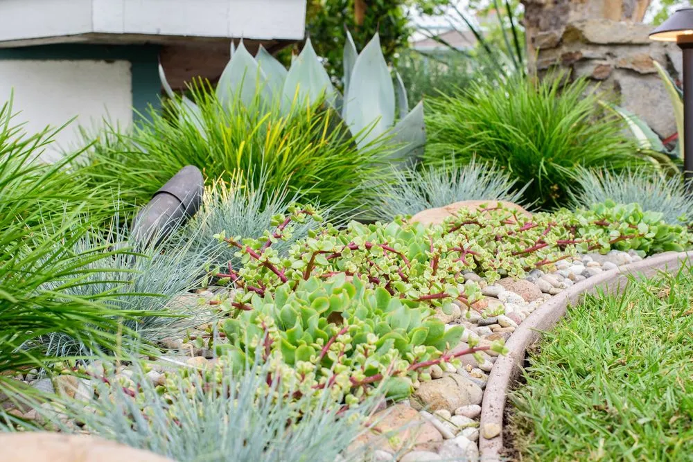 Affordable lawn care service experts serving Seal Beach, CA - Patrick Smith Landscaping