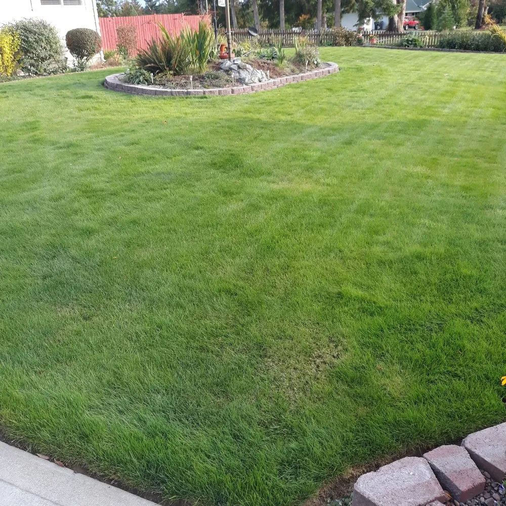 Top-rated outdoor landscaping for residential properties across Spanaway, WA - Patricks landscaping & Handyman services