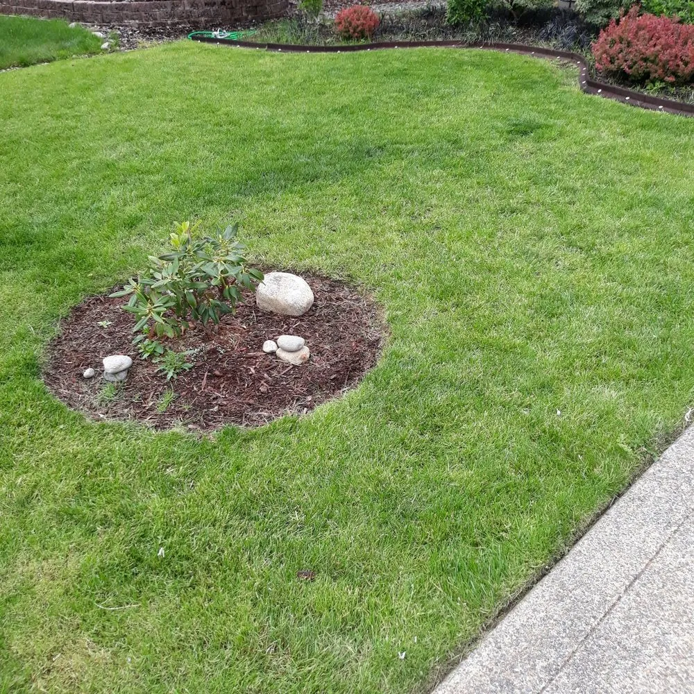 Affordable yard cleanup service with custom design in Spanaway, WA by Patricks landscaping & Handyman services