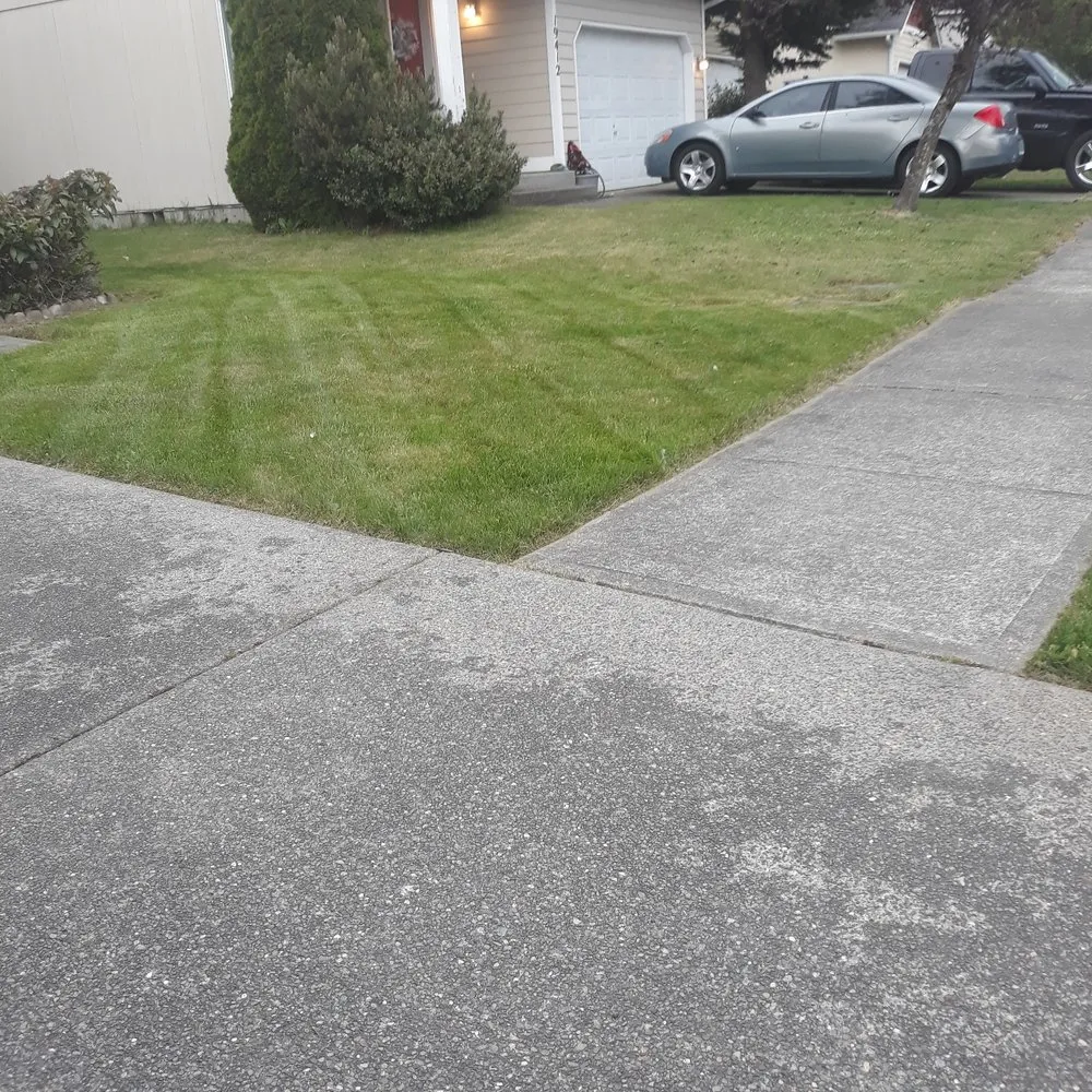 Custom residential landscaping in Spanaway, WA by Patricks landscaping & Handyman services