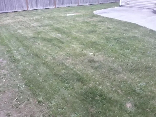 Expert landscape design experts serving Spanaway, WA - Patricks landscaping & Handyman services