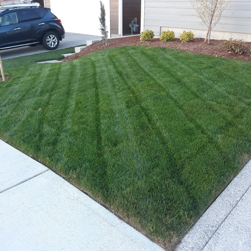 Professional landscape design for residential properties across Spanaway, WA - Patricks landscaping & Handyman services