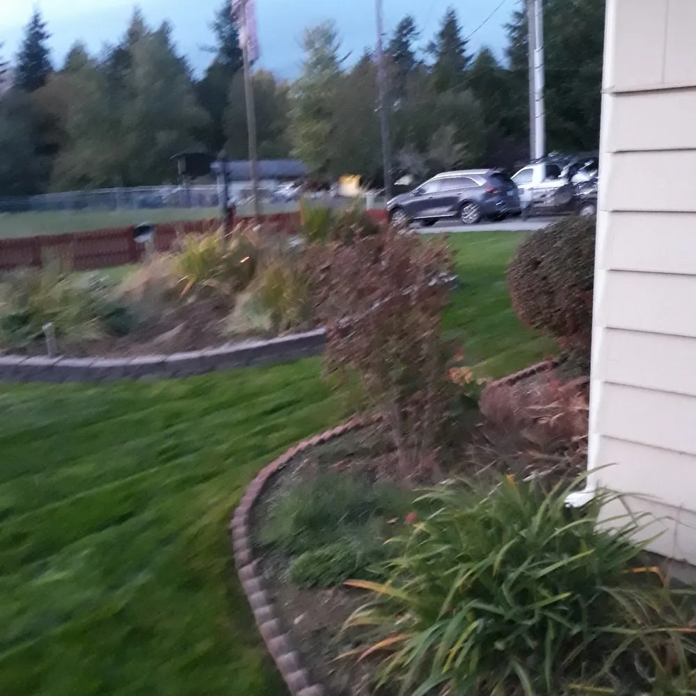Reliable landscape installation in Spanaway, WA by Patricks landscaping & Handyman services