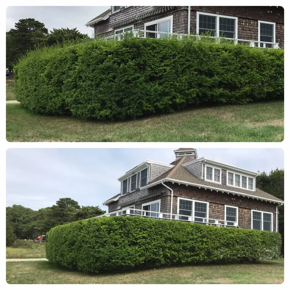Custom yard maintenance in Hatchville, MA by Patrick's Landscaping