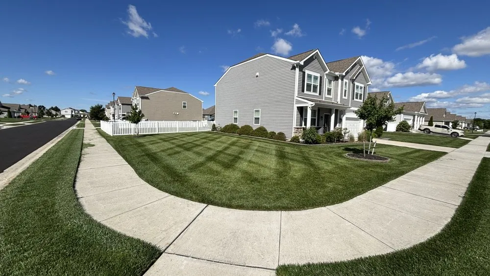 Custom yard cleanup service for year-round maintenance across Harrington, DE - Patrick's Lawn Care