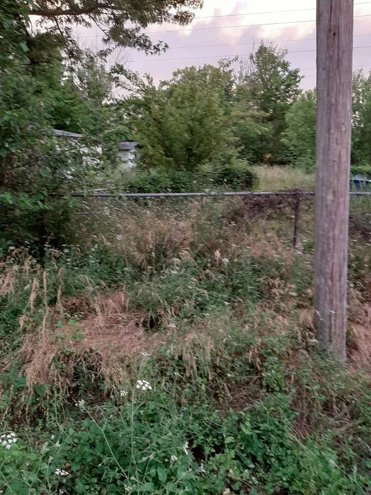 Professional lawn mowing service with custom design across Columbus, KS - Patrick's Lawn Care Service