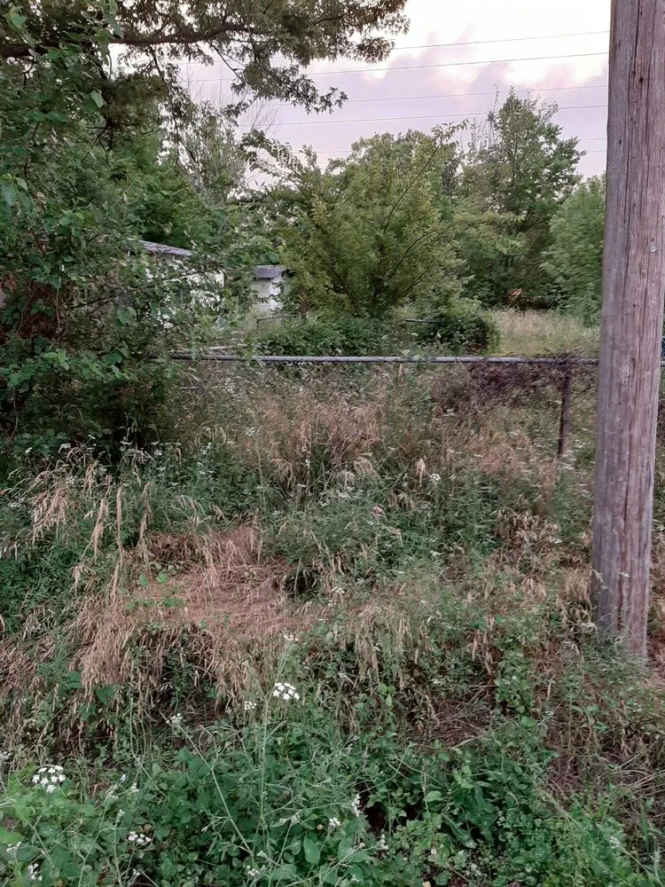 Reliable landscape installation for residential properties in Columbus, KS by Patrick's Lawn Care Service