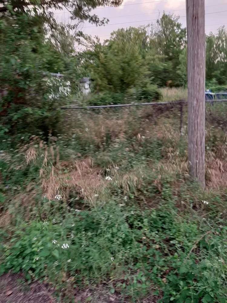 Top-rated landscaping services for homes in Columbus, KS by Patrick's Lawn Care Service