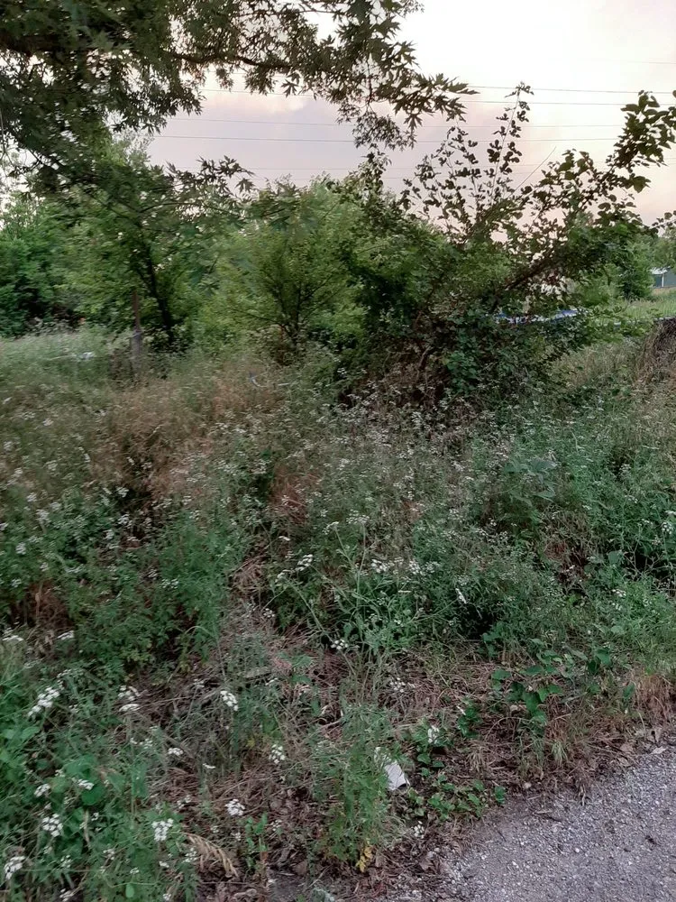 Expert garden landscaping in Columbus, KS by Patrick's Lawn Care Service