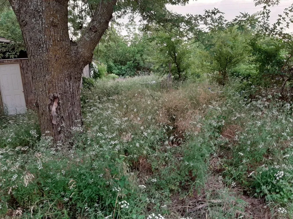 Local landscape design experts serving Columbus, KS - Patrick's Lawn Care Service