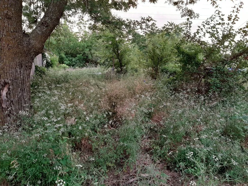 Professional lawn mowing service in Columbus, KS by Patrick's Lawn Care Service