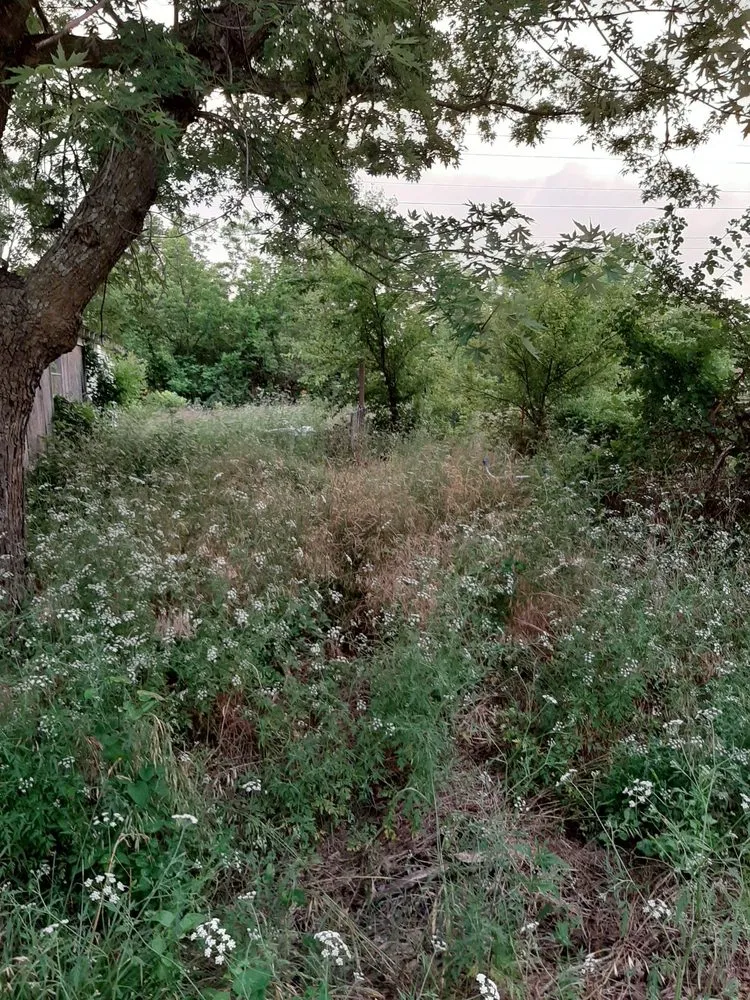 Affordable garden landscaping near you across Columbus, KS - Patrick's Lawn Care Service