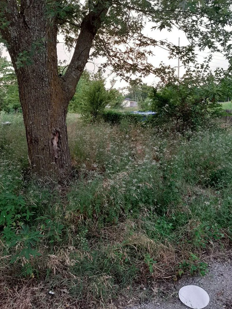 Top-rated landscape design with custom design across Columbus, KS - Patrick's Lawn Care Service