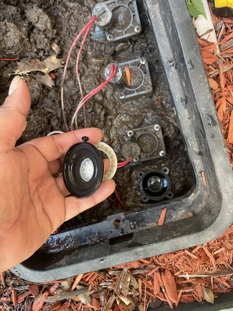 Affordable yard cleanup service in Peekskill, NY by Patricks Lawn Services