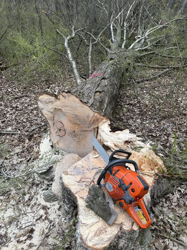 Reliable outdoor landscaping in Bloomsburg, PA by Patrick's Lawncare & Landscaping