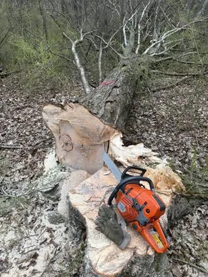 Patrick's Lawncare & Landscaping