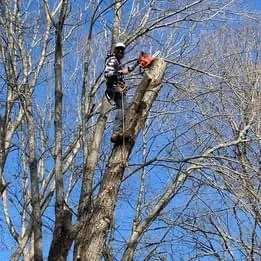 Affordable garden landscaping in Waynesville, NC - Patrick’s Lawncare & Landscaping