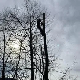 Custom yard maintenance in Waynesville, NC by Patrick’s Lawncare & Landscaping